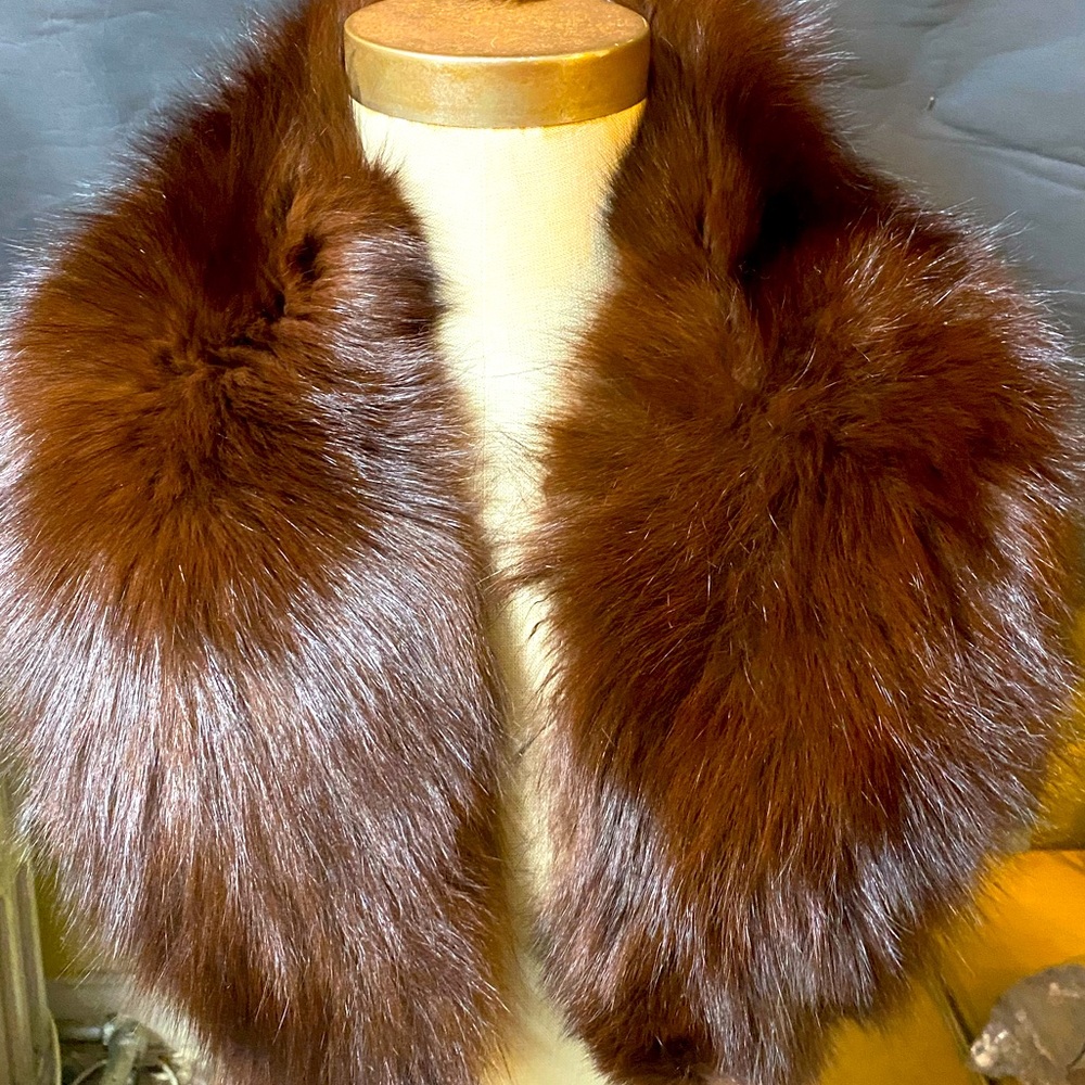 Chocolate Fur color.